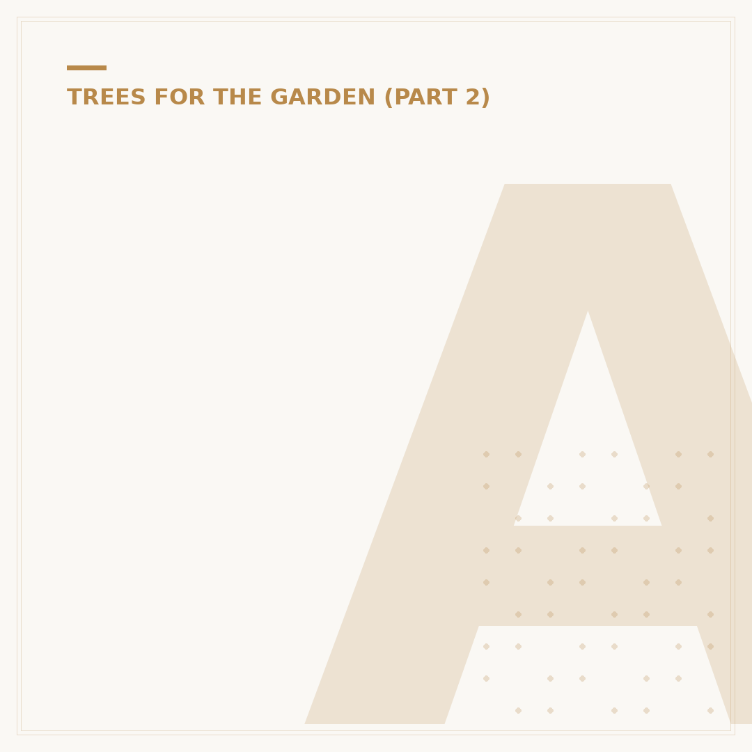 Acer Leaves Going Brown: Causes and Solutions