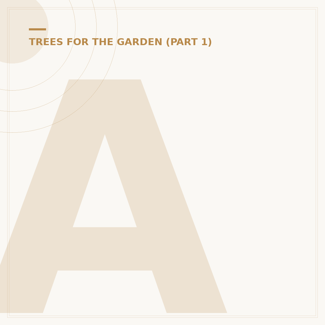 Acer Tree Care