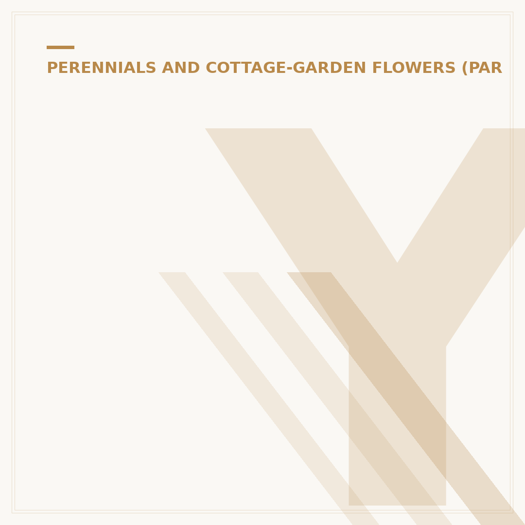 Yellow Achillea Yarrow: Varieties and Growing Tips