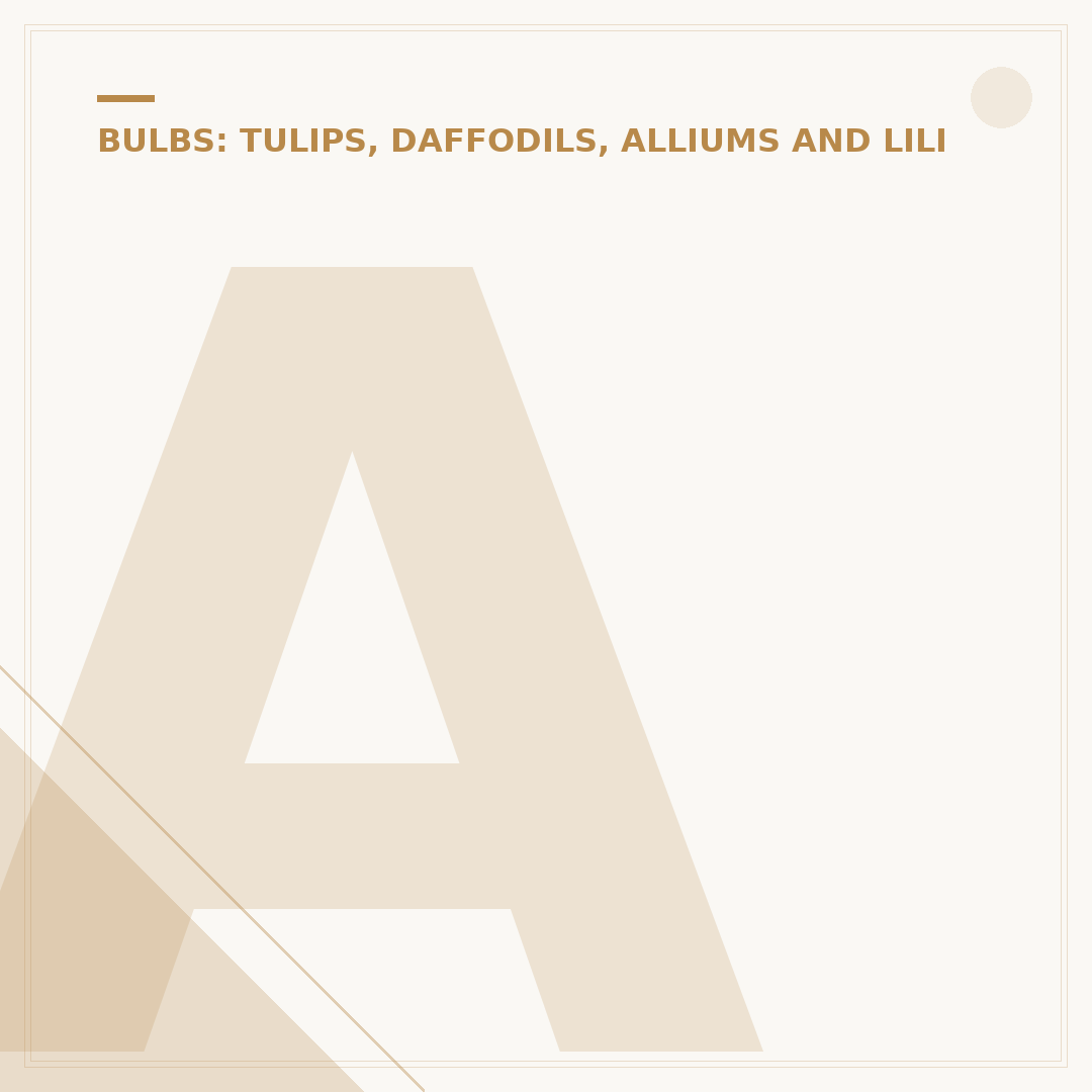 Allium Globemaster: Cultivation, Care and Alternatives