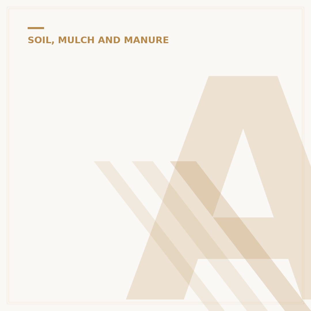 Alluvial Soil