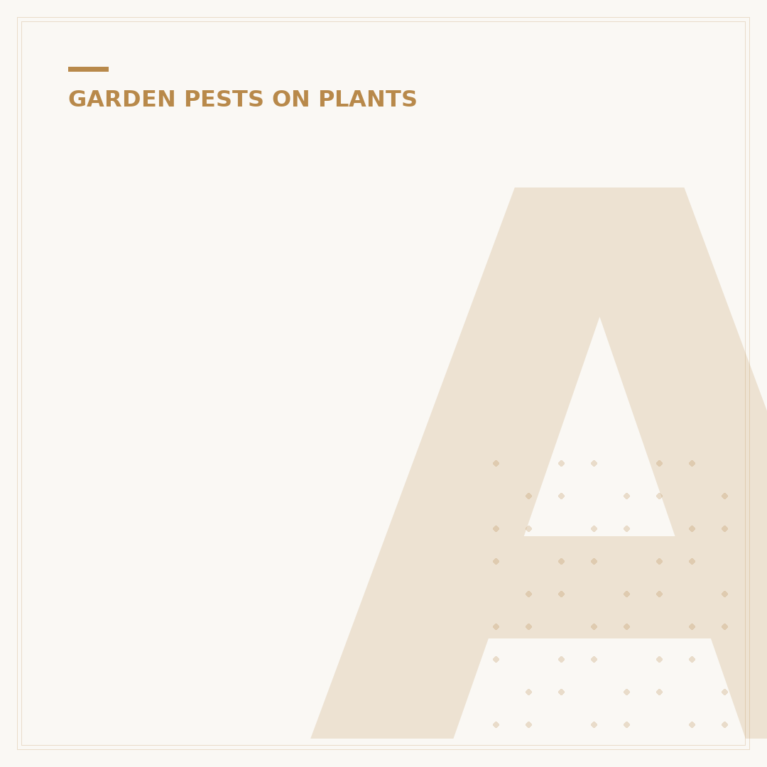 Aphid Bugs on Plants: Identification & Control Strategies