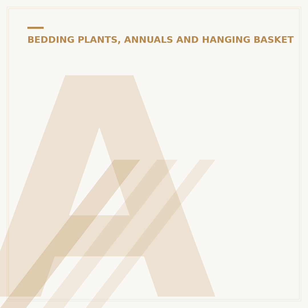 Are Geraniums Perennials? Understanding True Geraniums
