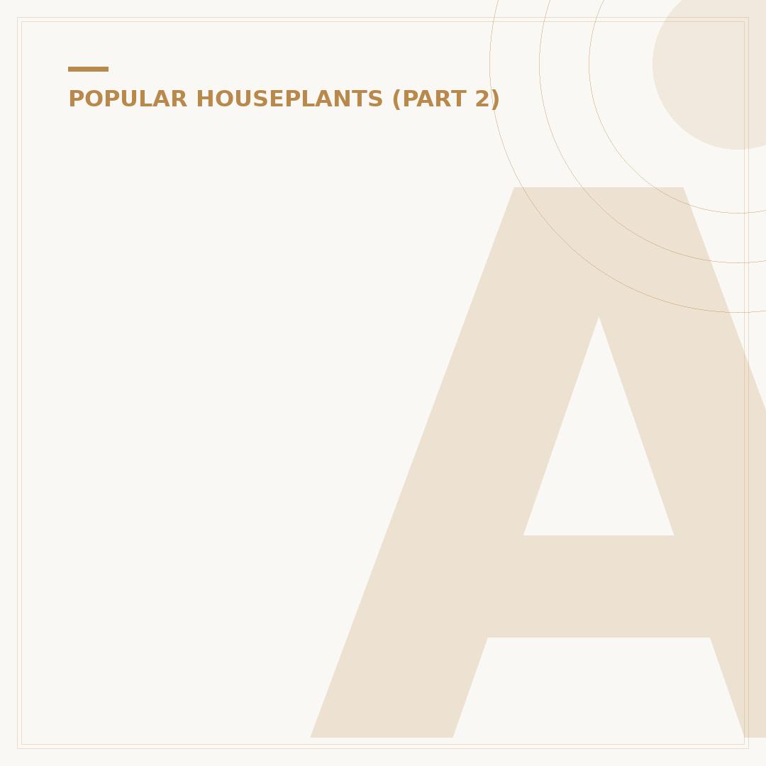 Areca Palm Houseplant Care