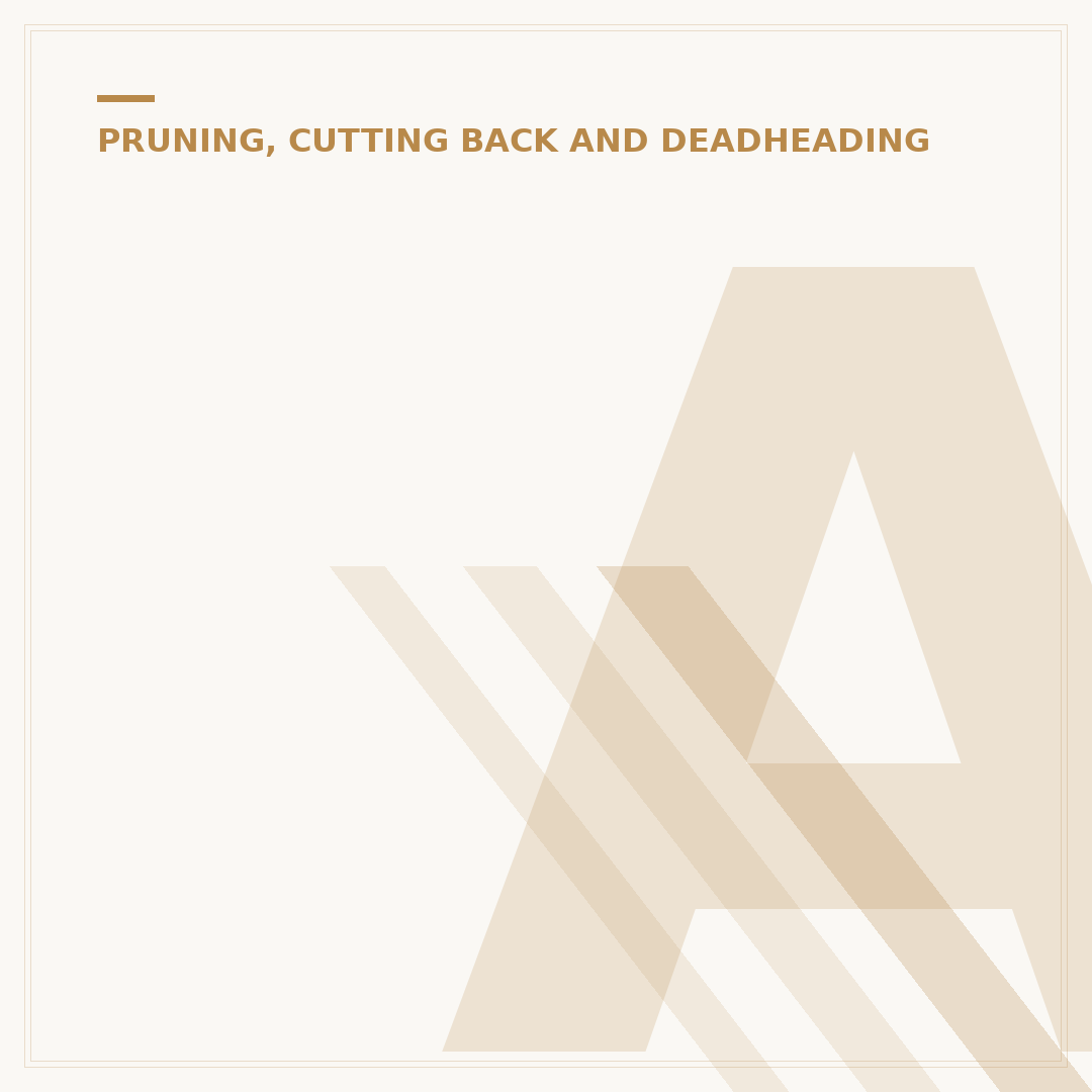ARS Pruning Scissors