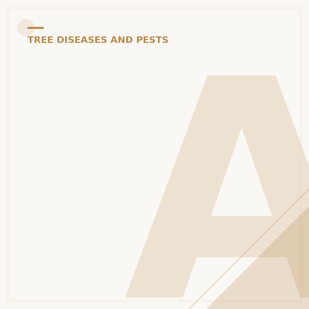 Ash Dieback Treatment: Understanding Management Options