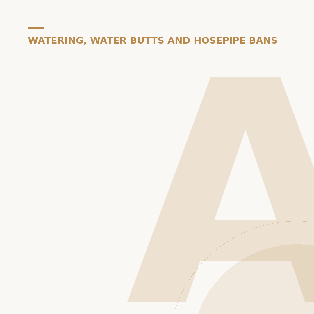 Automatic Watering of Plants: Your Options Explained