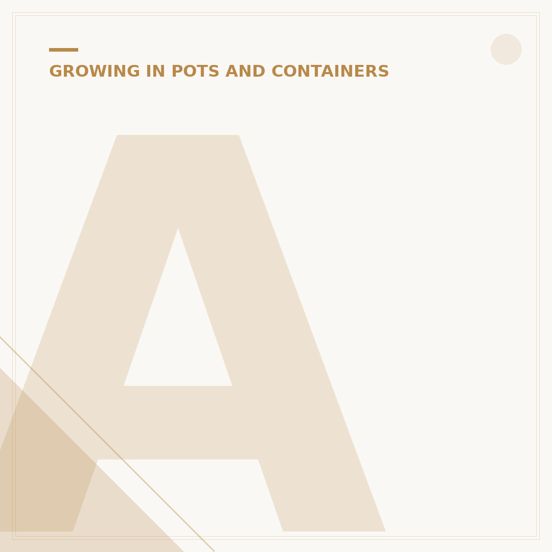 Autumnal Plants for Pots: Colourful Container Picks