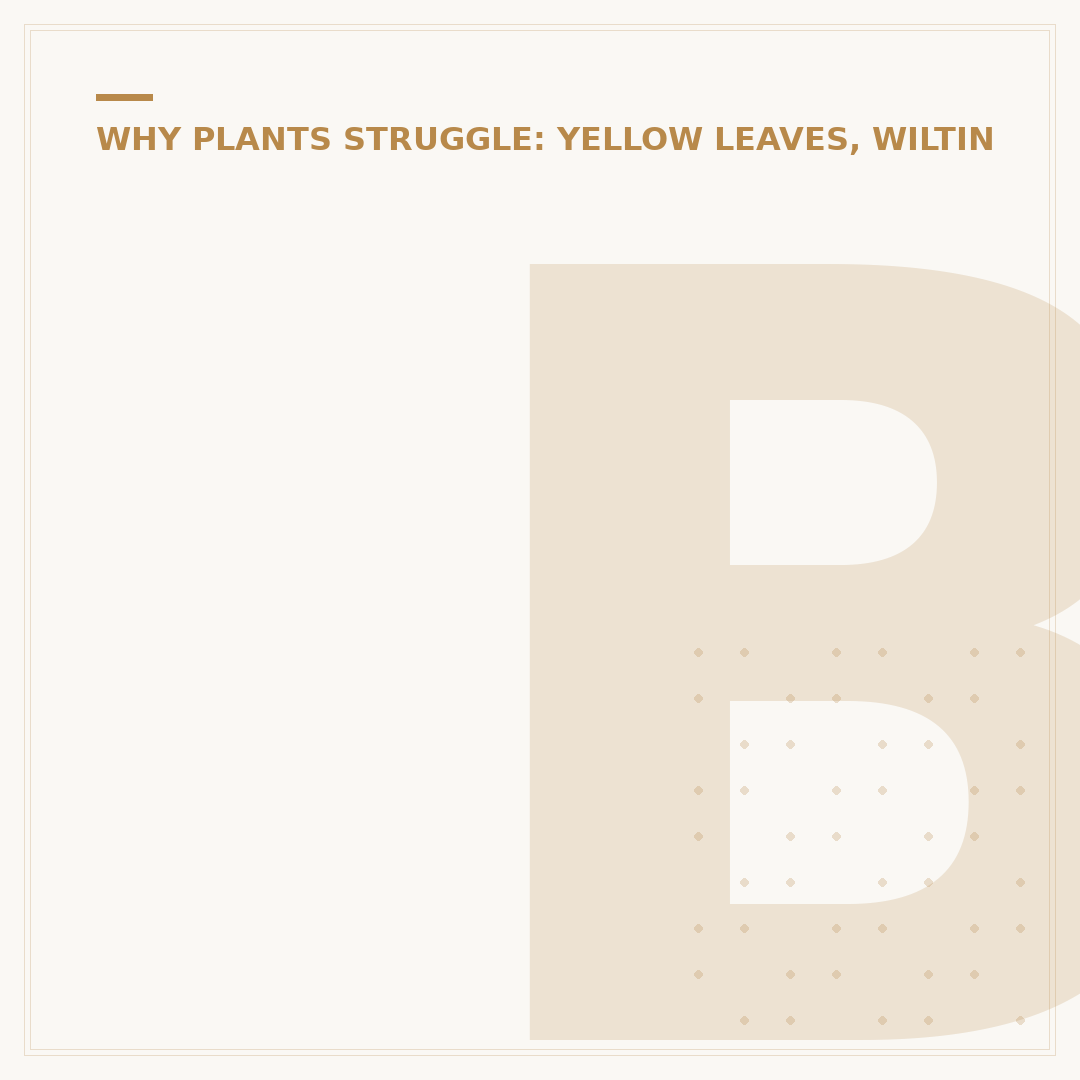 Bay Leaf Tree Leaves Turning Brown: Causes and How to Fix