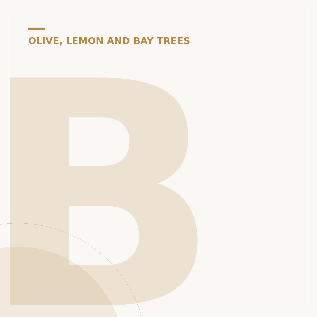 Bay Tree Leaves Yellowing: Causes and How to Fix Them