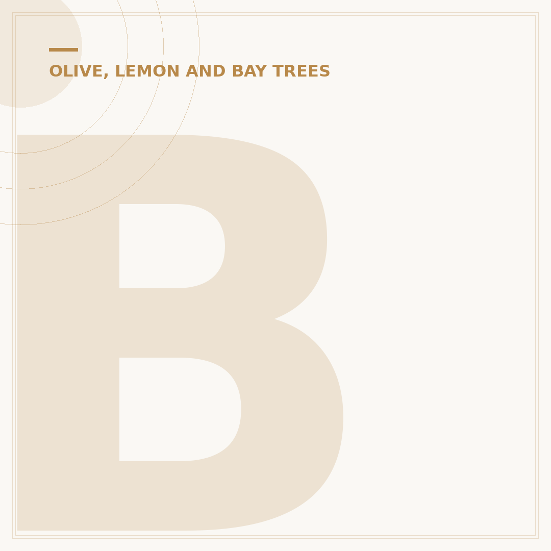 Bay Tree Problems: Solutions for Healthy Plants