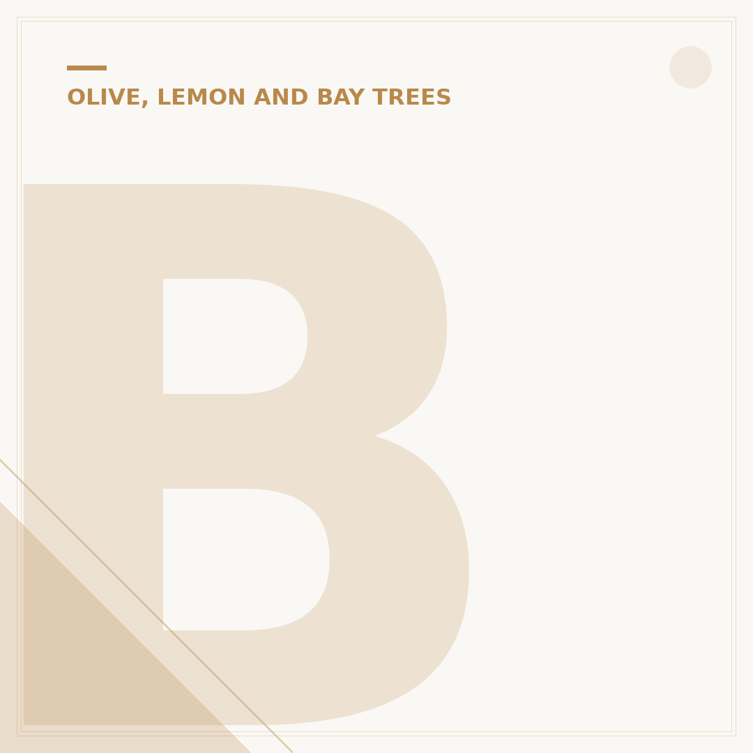 Bay Tree Yellow Leaves: Causes and Solutions