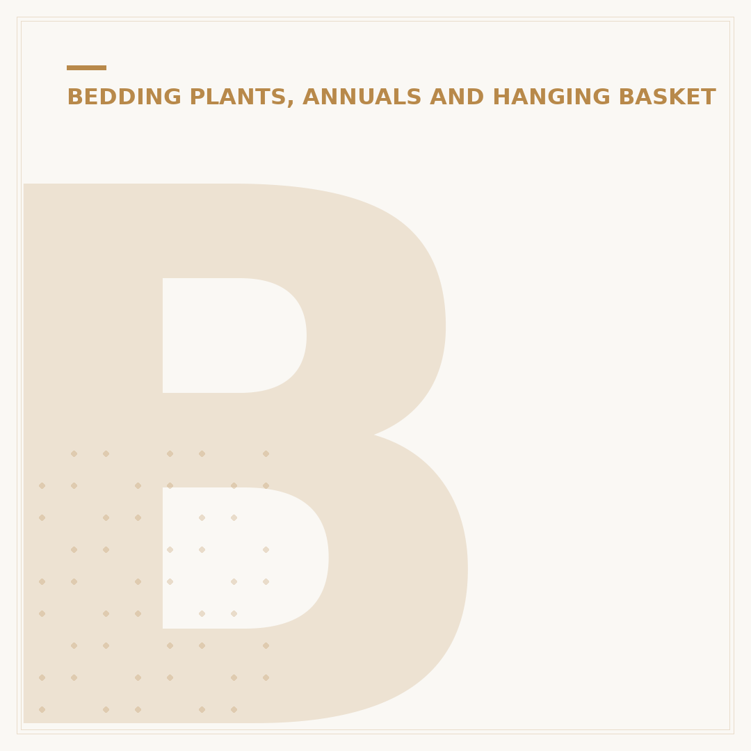 Begonia Hanging Basket: Varieties and Care