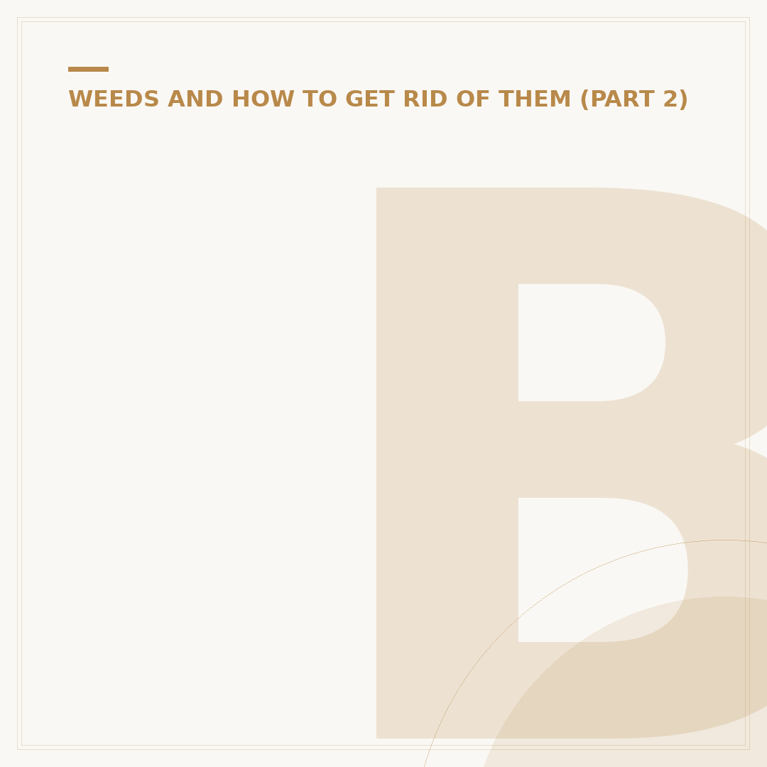 Bello Bard of the Brambles: What It Is & Alternatives