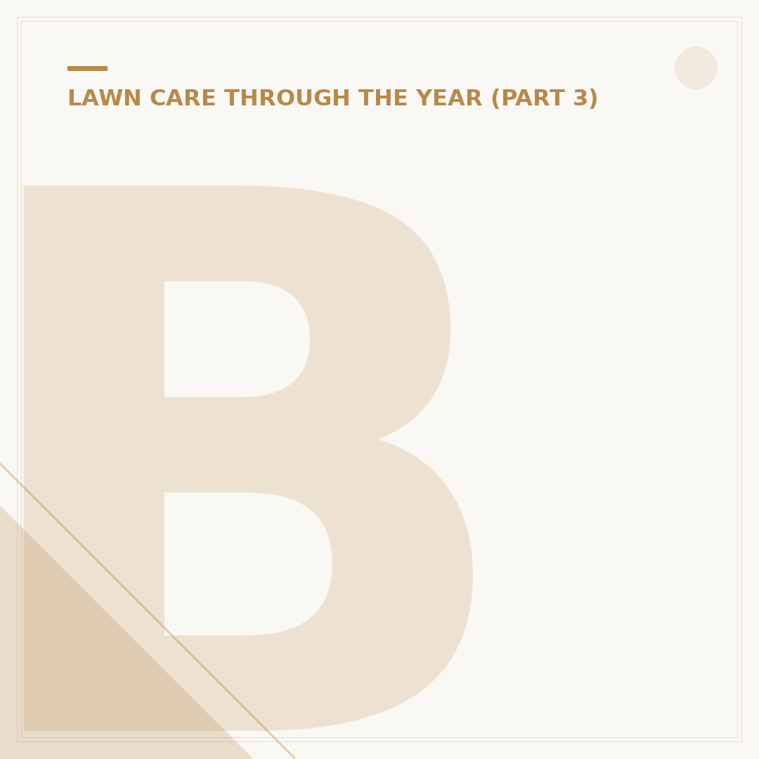 Best Time to Aerate Lawn: Timing & Lawn Health