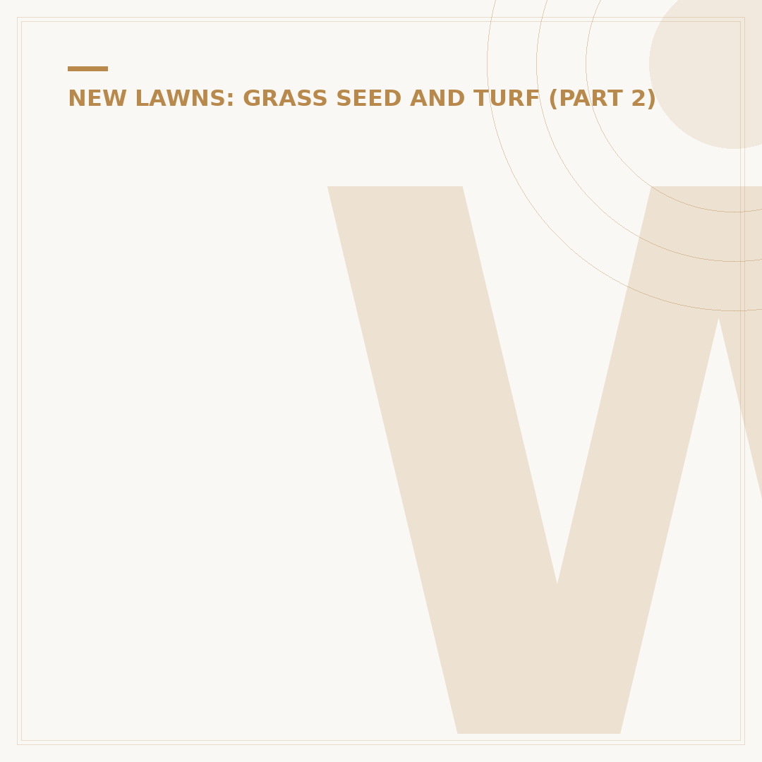 When's the Best Time to Put Grass Seed Down?