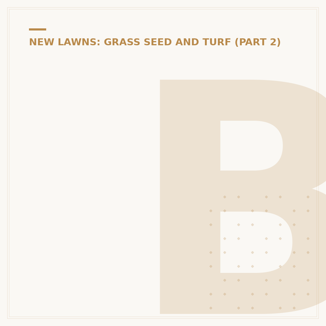 Best Time to Put Grass Seed on Lawn: Autumn or Spring?