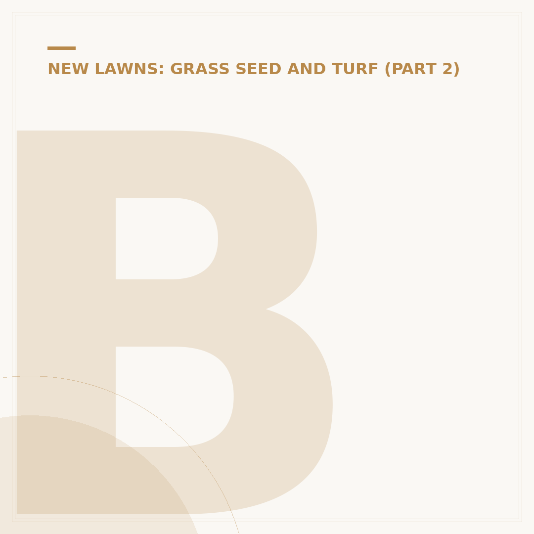 Best Time to Put Grass Seeds: Spring vs Autumn