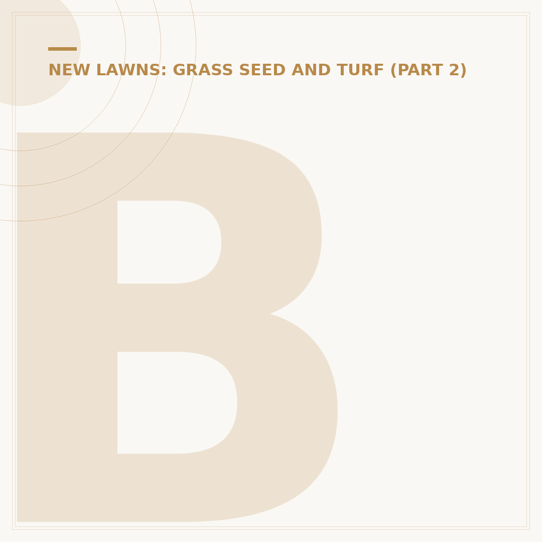 Best Time to Lay Grass Seed: Avoid Costly Mistakes