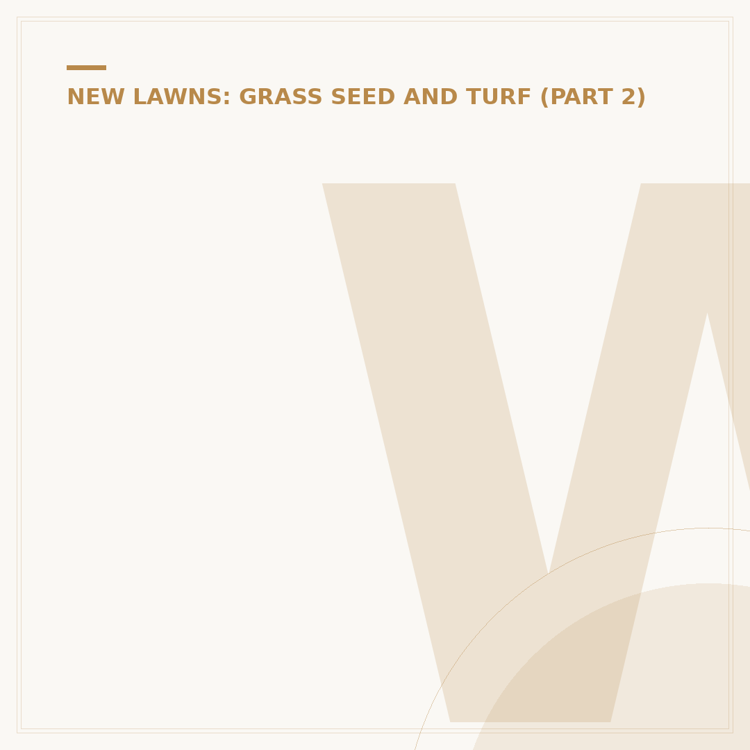 When's the Best Time to Lay Turf?