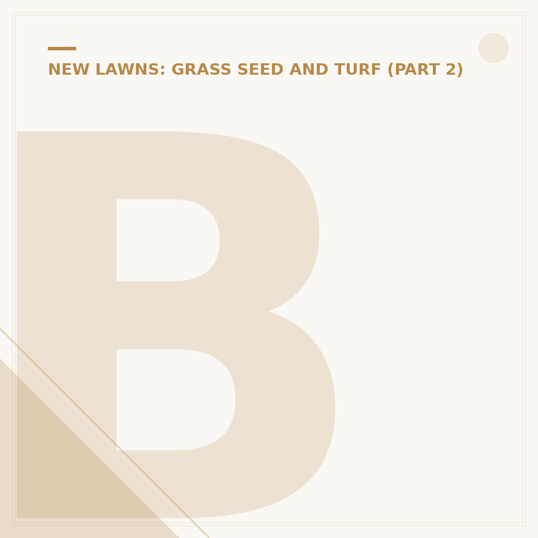 Best Time to Overseed Grass: Spring vs Autumn