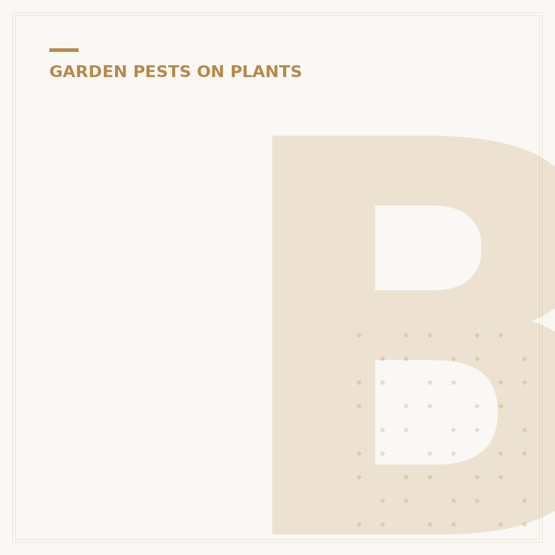 Black Aphids on Plants: Identification & Control