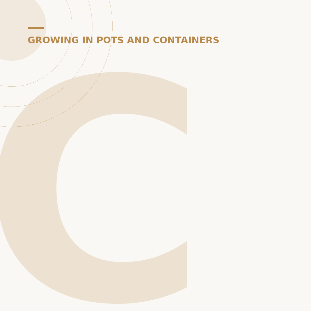 Choosing Black Plant Pots for Your Home and Garden