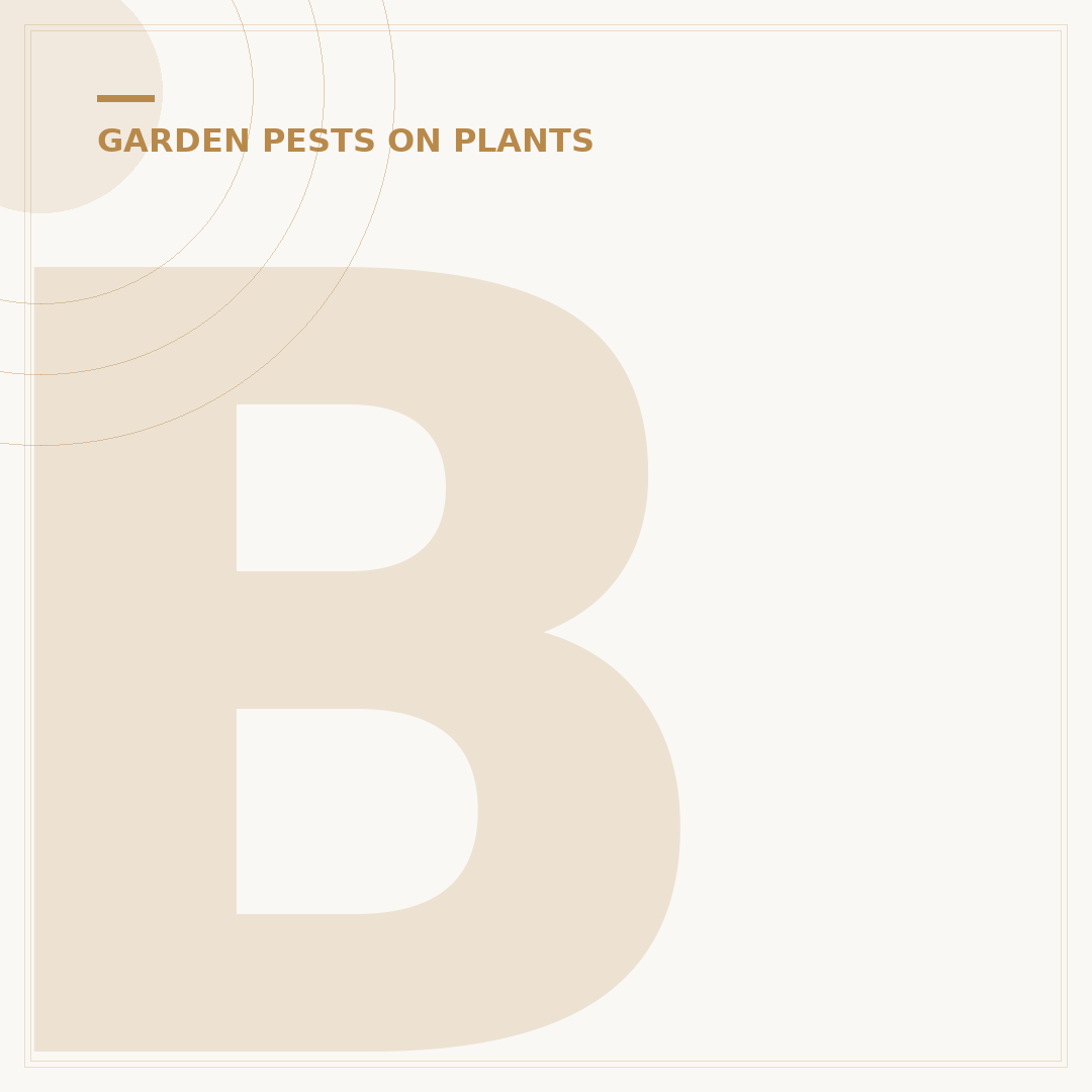 Blackfly Larvae: What They Are and How to Manage Them