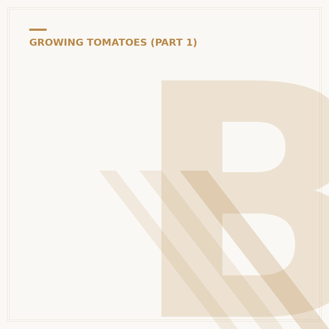 Blight Resistant Tomatoes: Healthier Crops