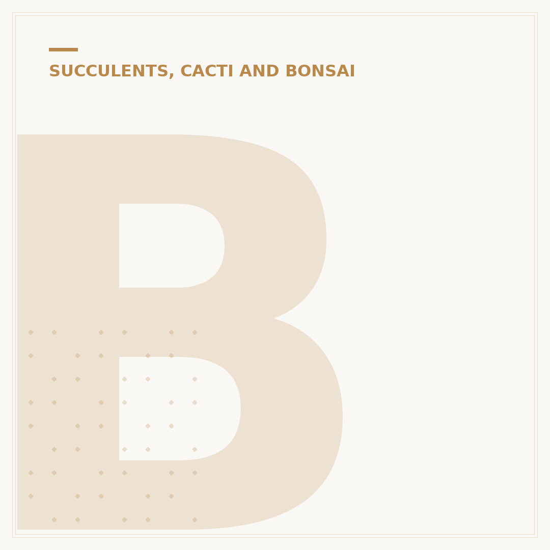 Bonsai Direct: Finding Quality Trees and Specialists