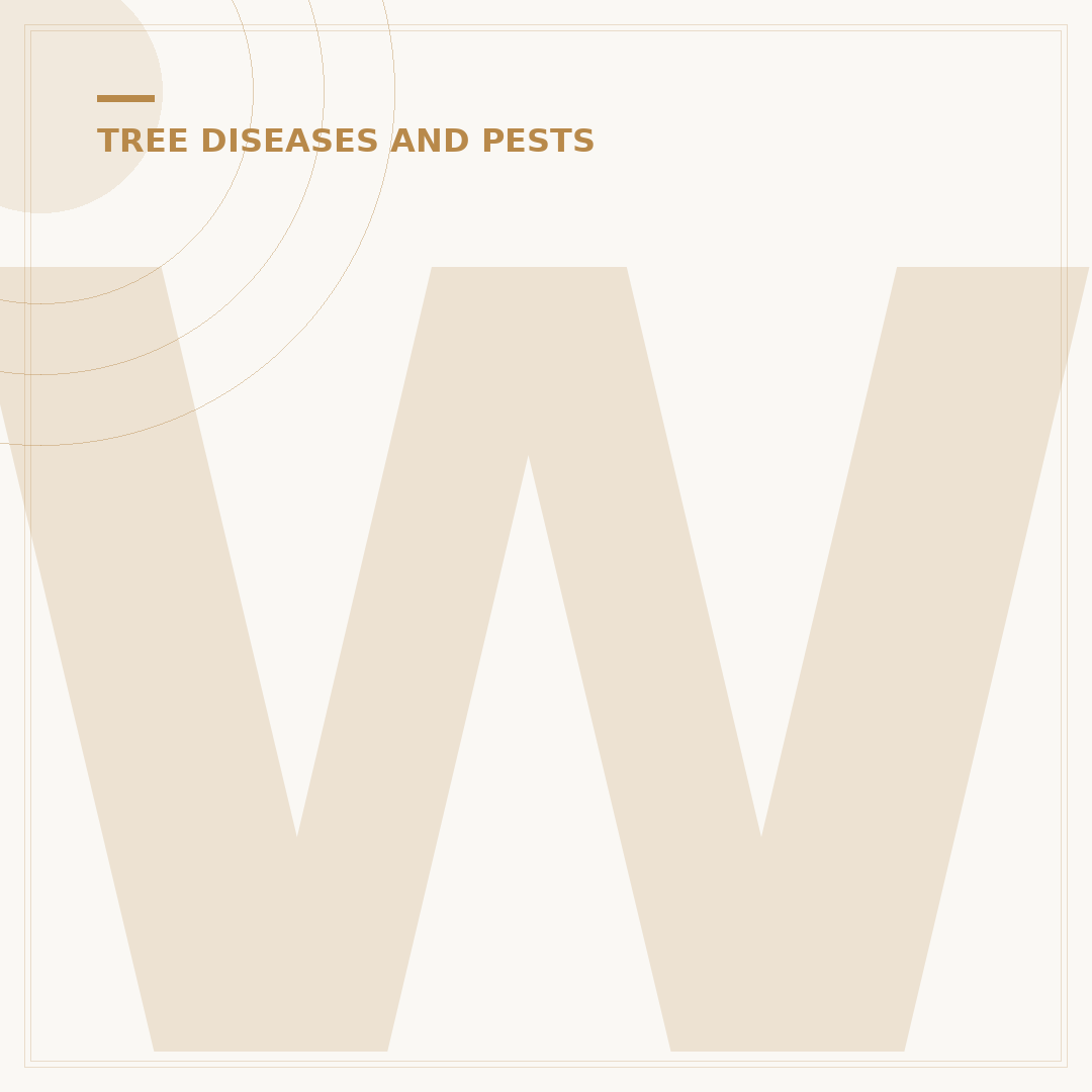 What Does Box Blight Look Like?
