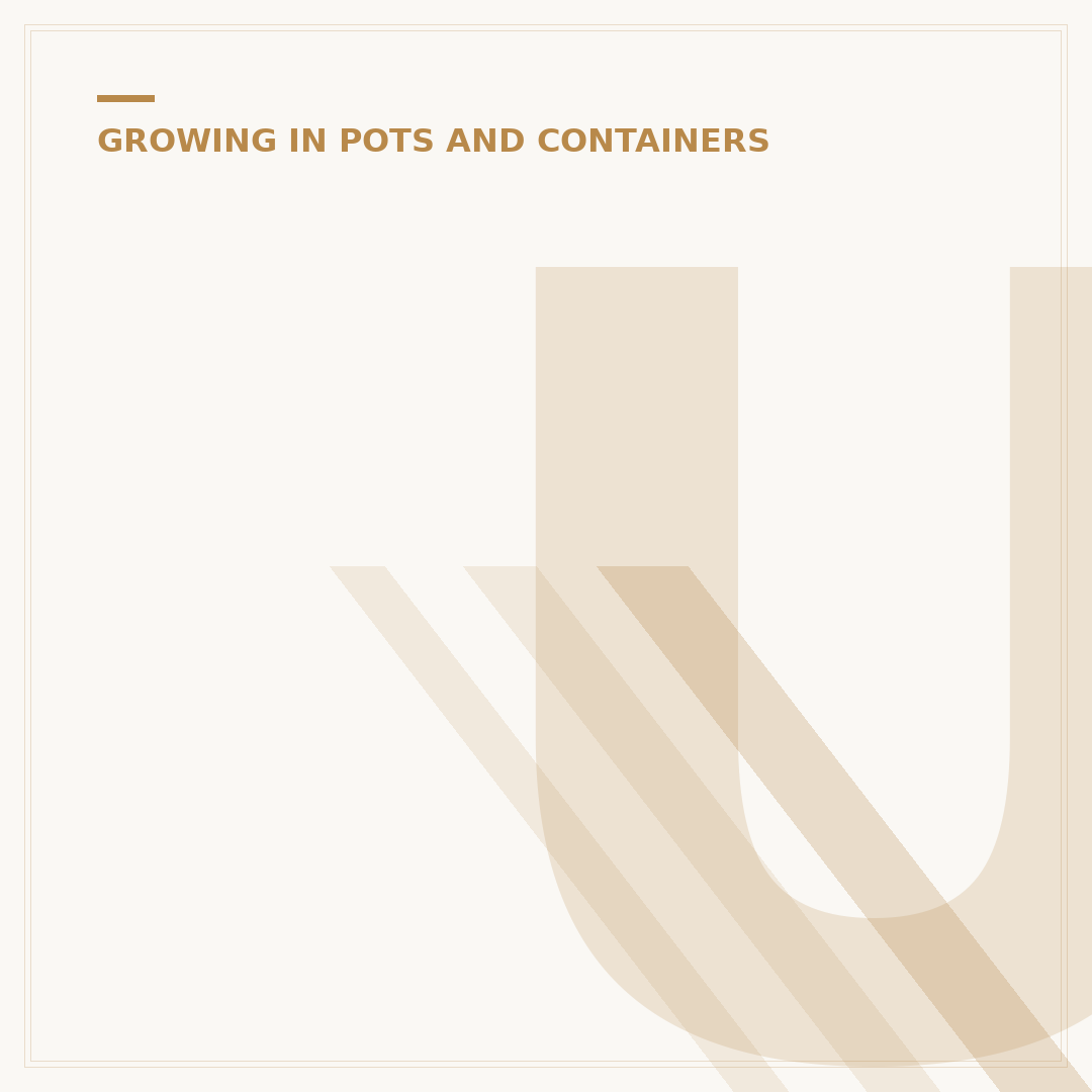 Understanding Box Window Boxes: Styles and Uses