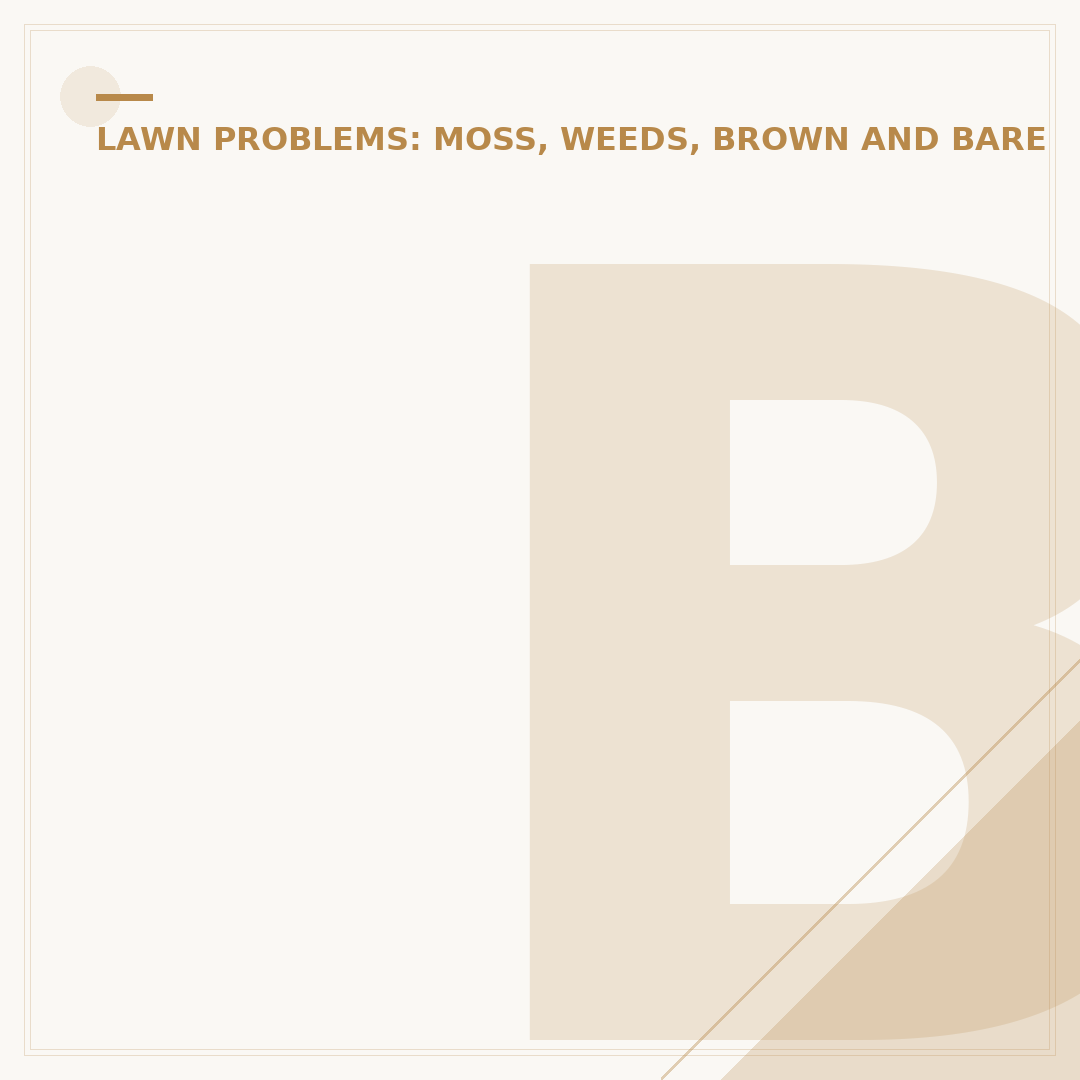 Brown Grass: Causes and Solutions for Your Lawn