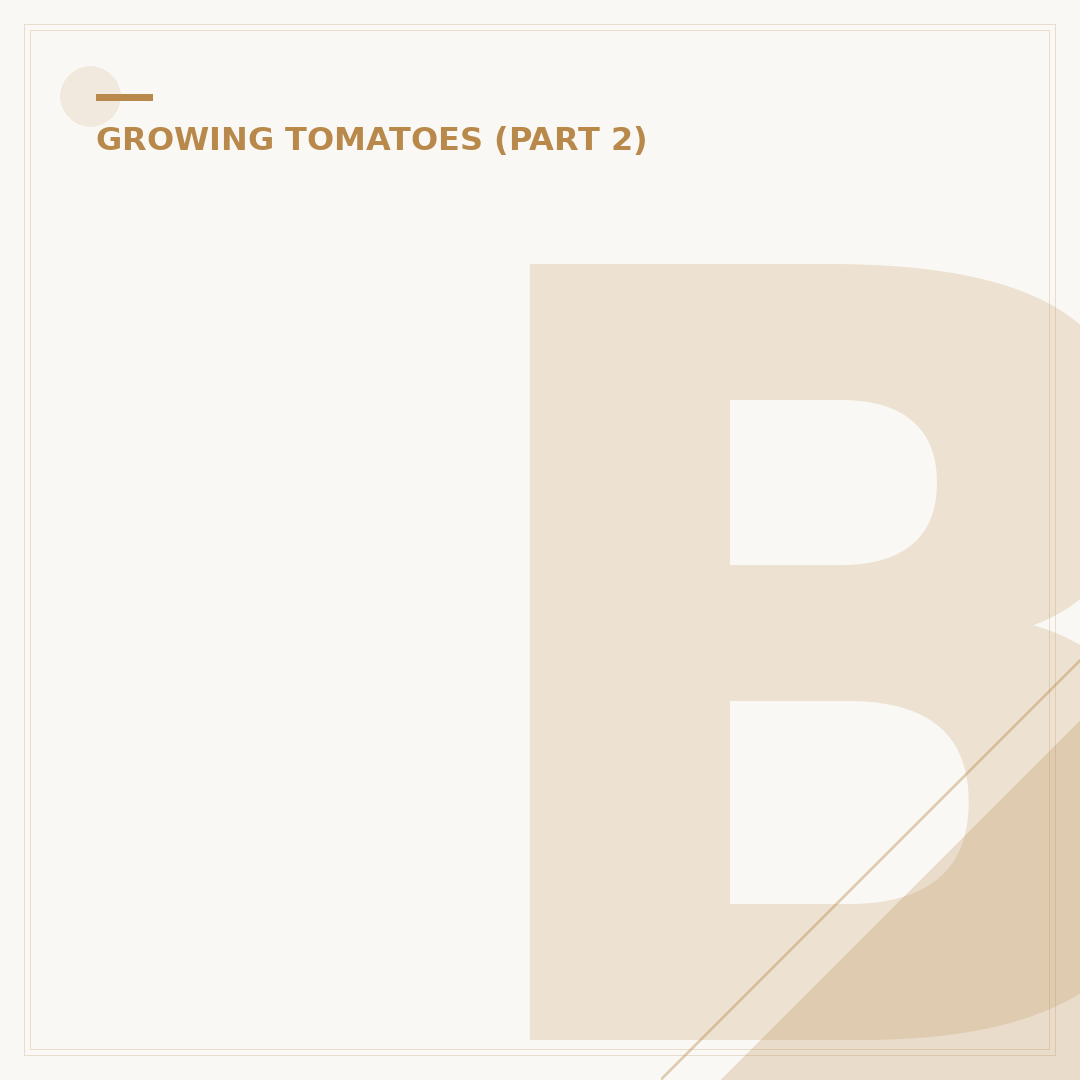Brown Marks on Tomato Leaves