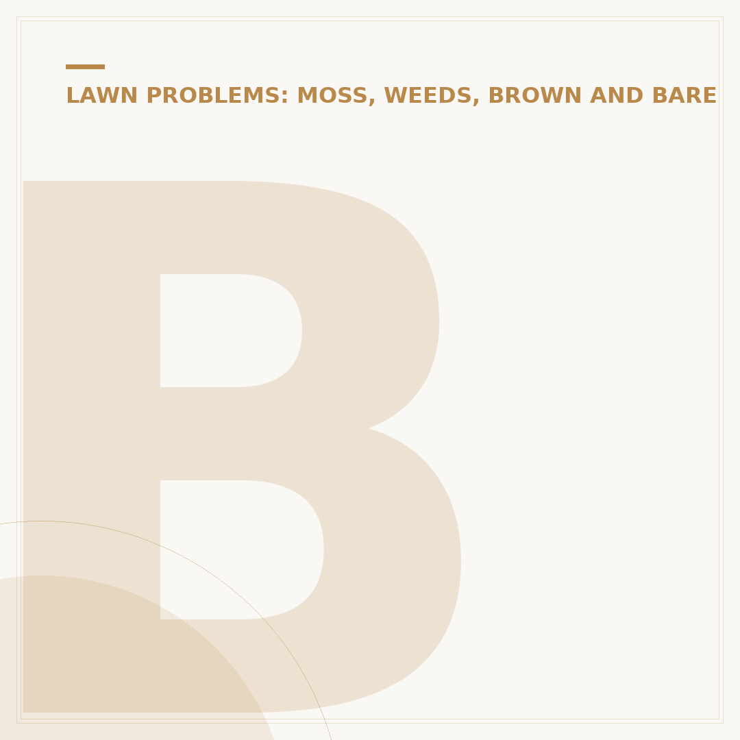 Brown Patch Lawn Care: Identify and Treat Fungal Disease