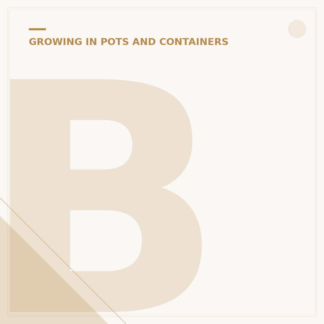 Brown Plant Pots: A Versatile Choice for Your Garden