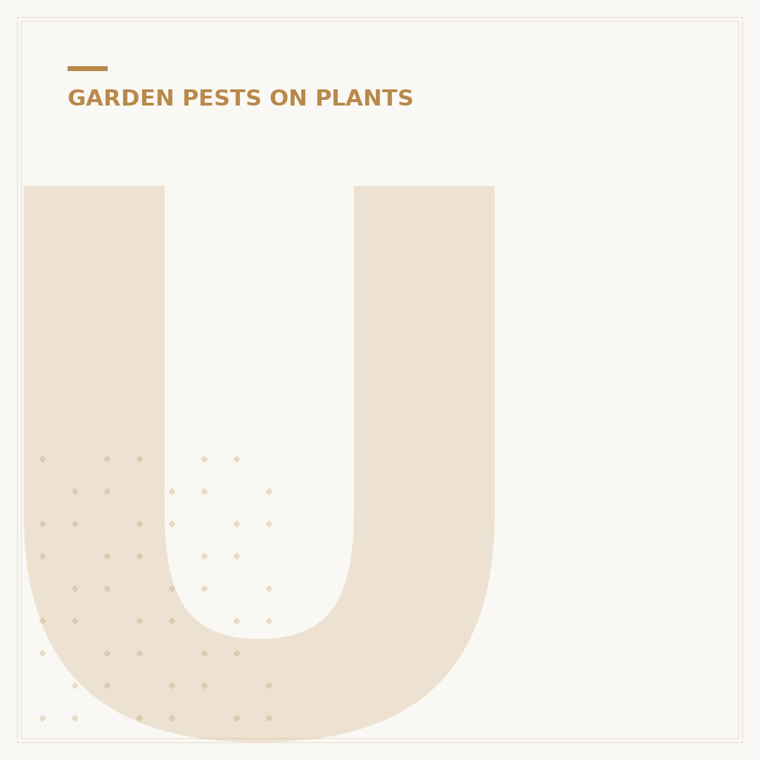 Using BTI for Fungus Gnats: Control and Prevention