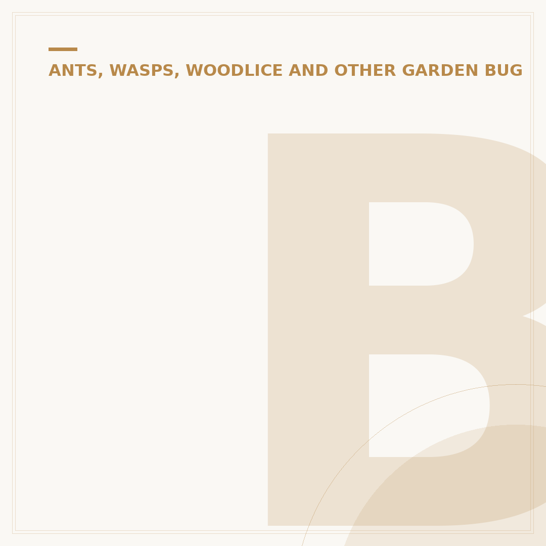 Bug Repellent for House Plants: Natural & Safe Options