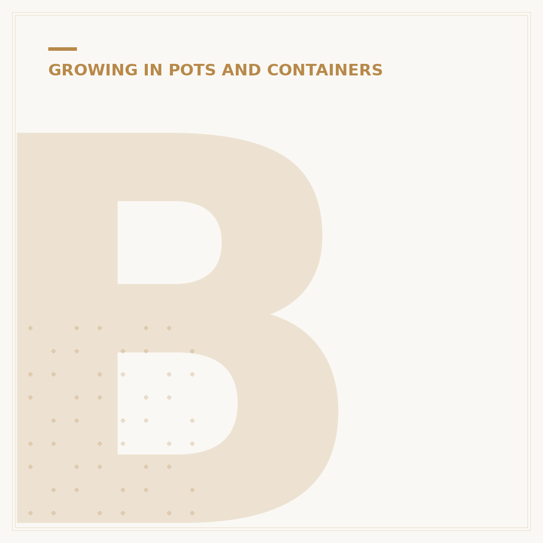 Bulbs in Pots
