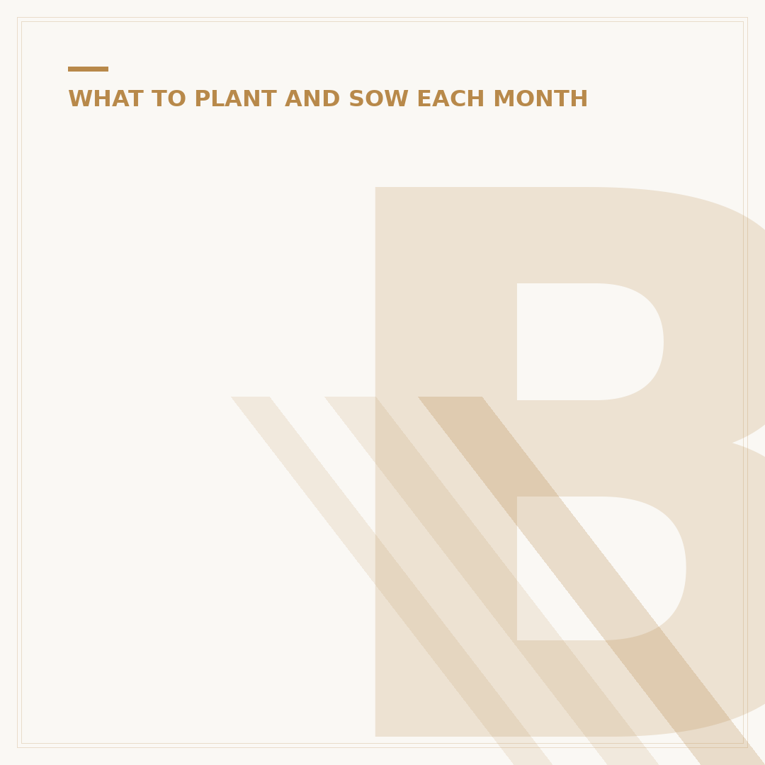 Bulbs to Plant in May for Summer Blooms