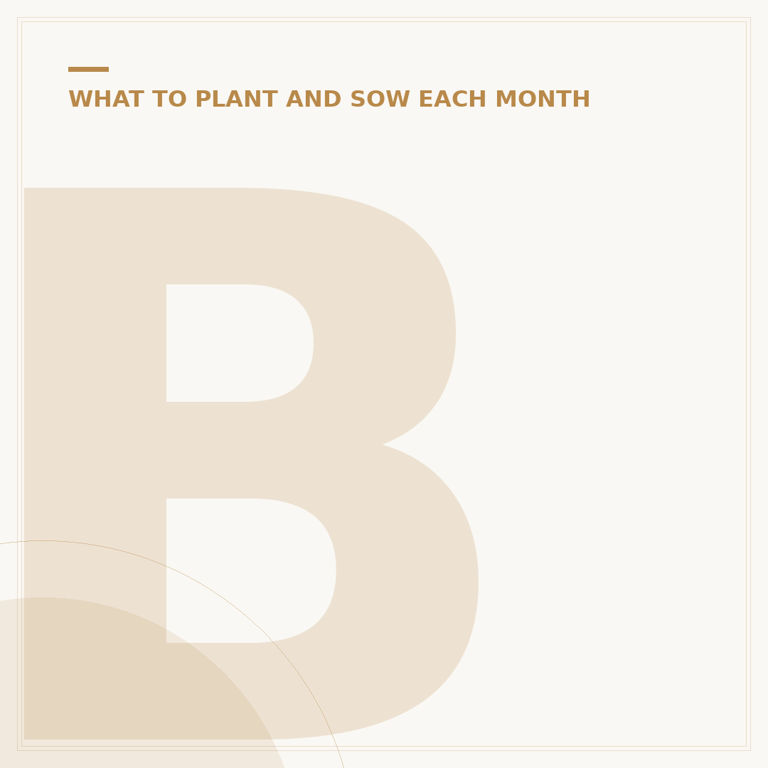 Bulbs to Plant Now for Spring & Summer Blooms