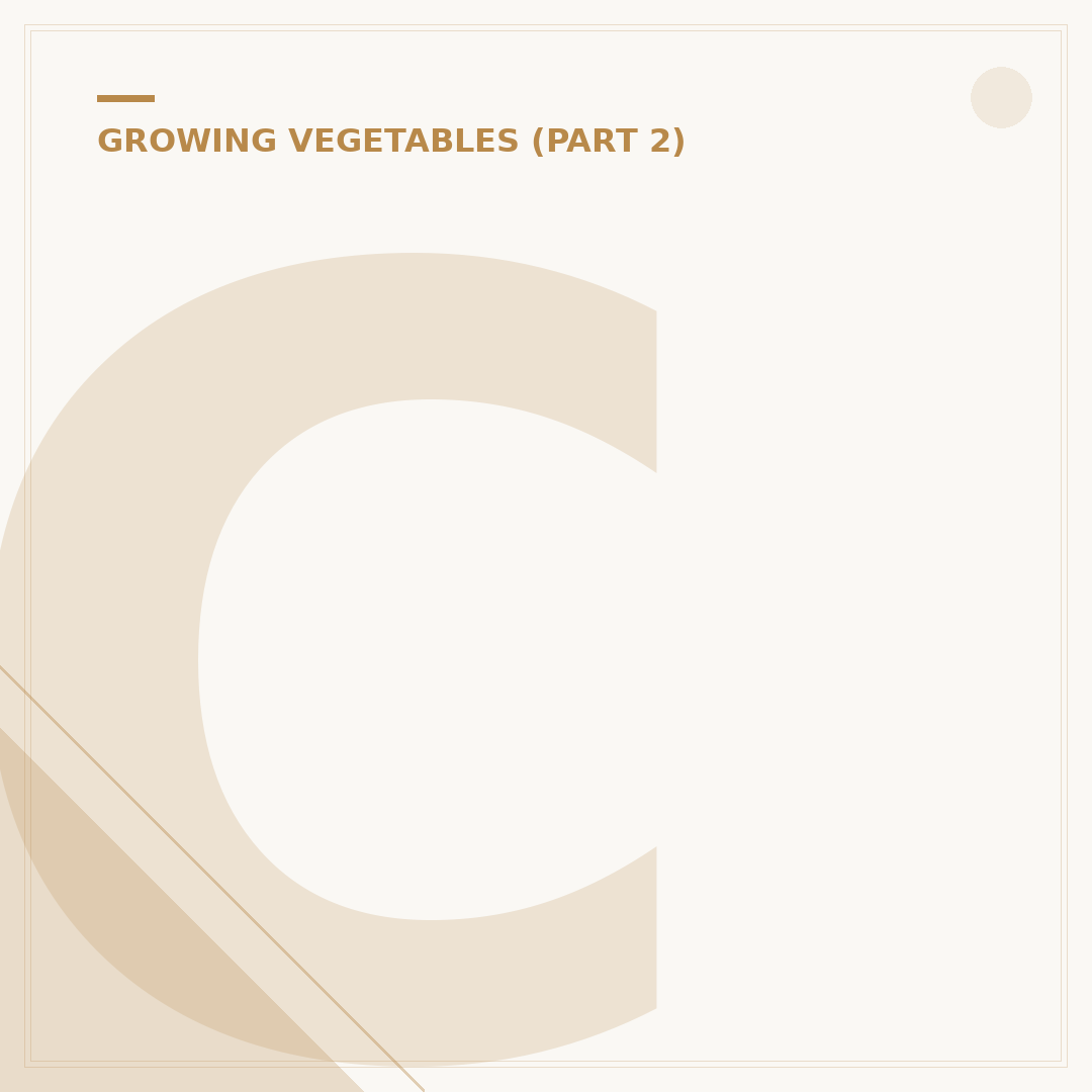 Cabbage Plants: Growing, Varieties and Care Explained