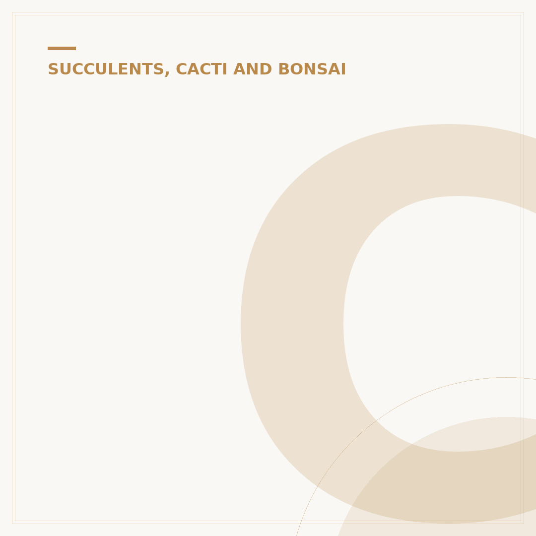 Chart for Identification of Cacti Types