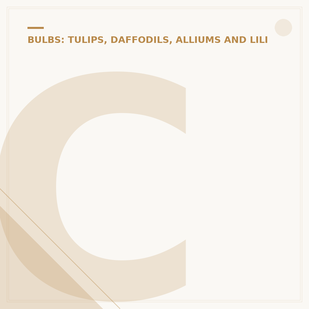 Calla Lilies Care: Planting, Growing and Pruning