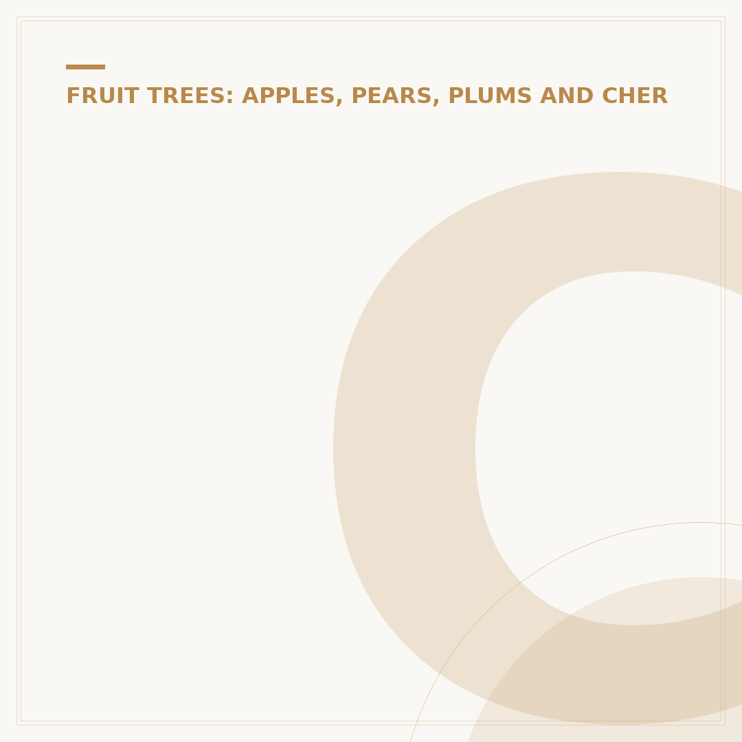 Cashew Nut Tree With Fruit: What You Need To Know