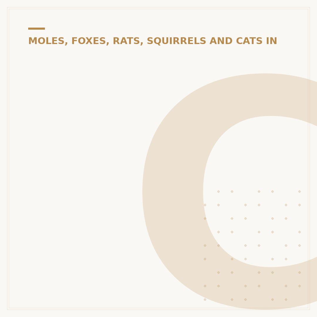 Cats in the Catty Garden: Keeping Felines Out