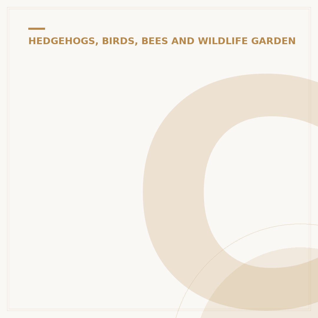 Cats and Hedgehogs: Coexisting Safely in Your Garden