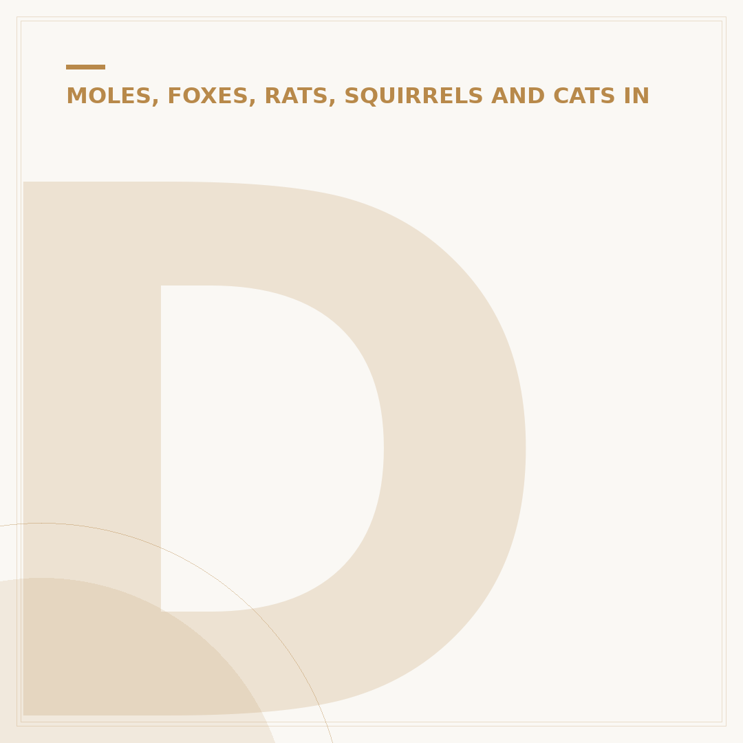 Do Cats Kill Hedgehogs? Understanding the Risk