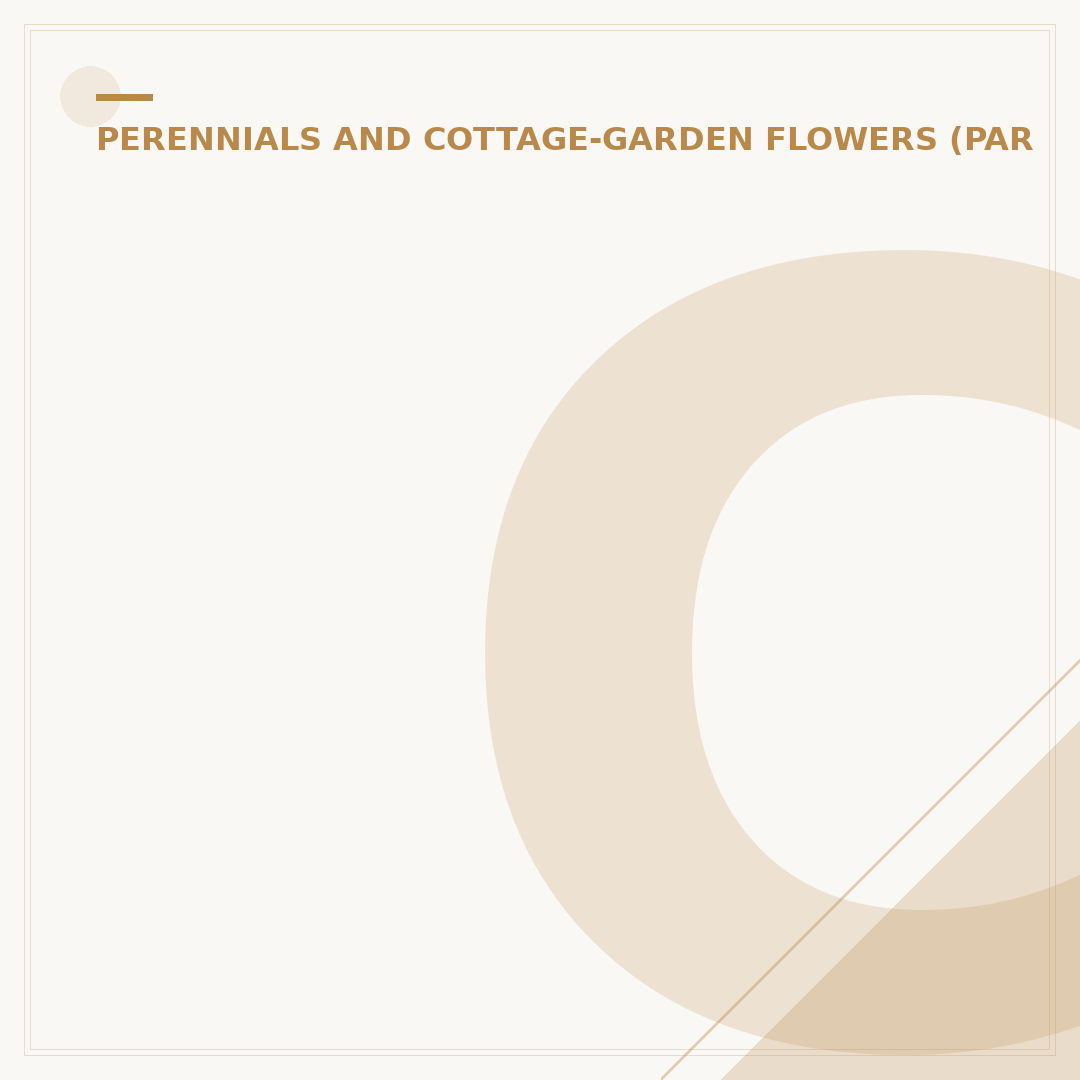 Chrysanthemum Segetum: Growing Corn Marigold