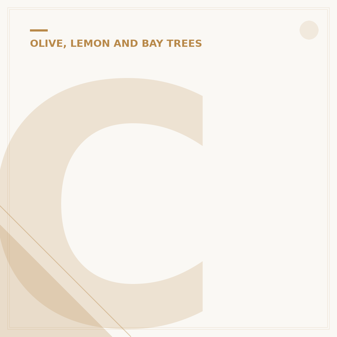 Citrus Tree Leaves Curling: Causes and Solutions